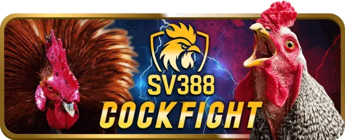 Đá gà vin68 info